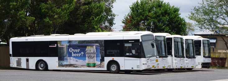 Busways Mercedes O405NH Bustech 598, Irisbus FRH Custom CB50 678, 679 & 677 and Mercedes OH1421 ABM SB50 542